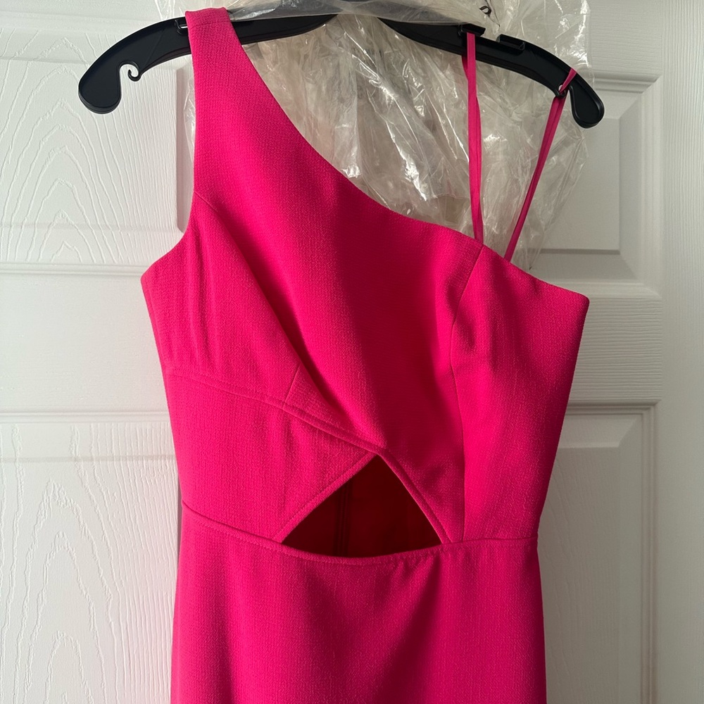 Pink BCBG dress.